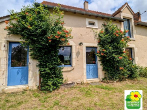 Maison typique en Berry avec jardin privatif, BBQ et parking - FR-1-591-598